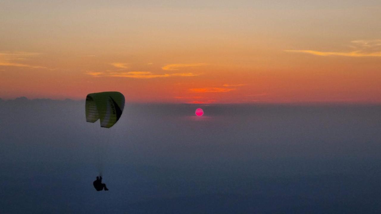 La Belle Histoire Gite Ventoux Bédoin Dış mekan fotoğraf
